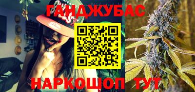 мяу мяу мука Гатчина