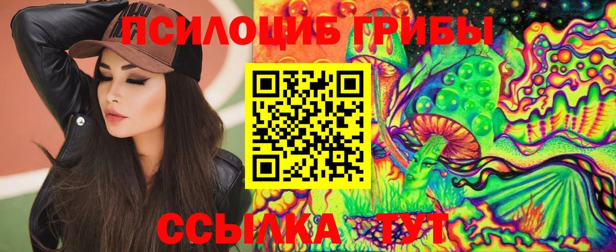 Галлюциногенные грибы Psilocybine cubensis  Вход с VPN  Дальнегорск 